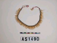 藏品(獸牙頸飾)的圖片